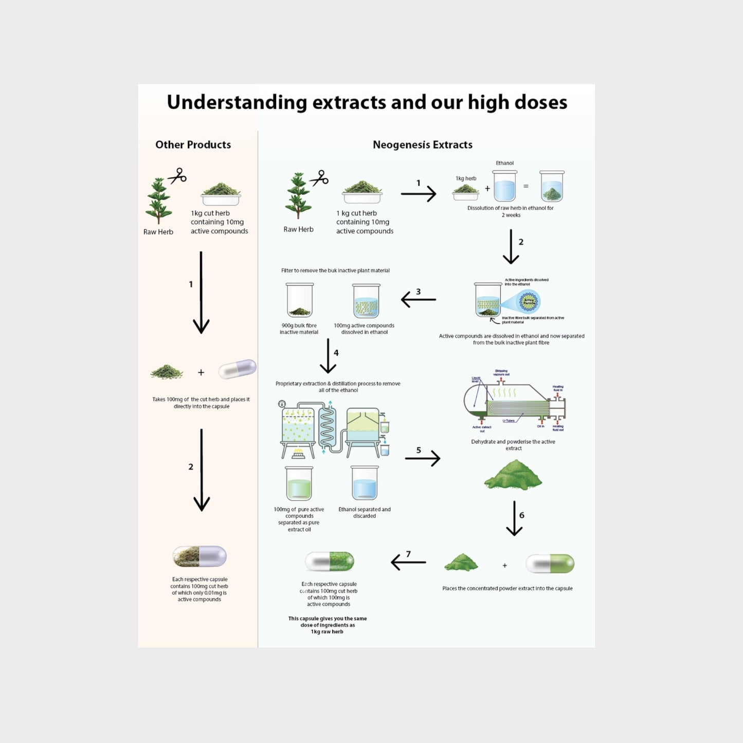 Olive Leaf Extract 30s | Neogenesis Health