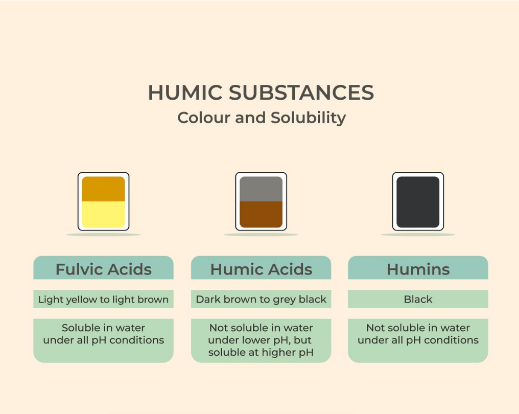 Humicaps | Potassium Humate (Fulvic + Humic acid) 120s | Neogenesis Health