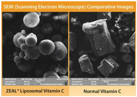 Lipo C (Liposomal Vitamin C) 30s | Neogenesis Health