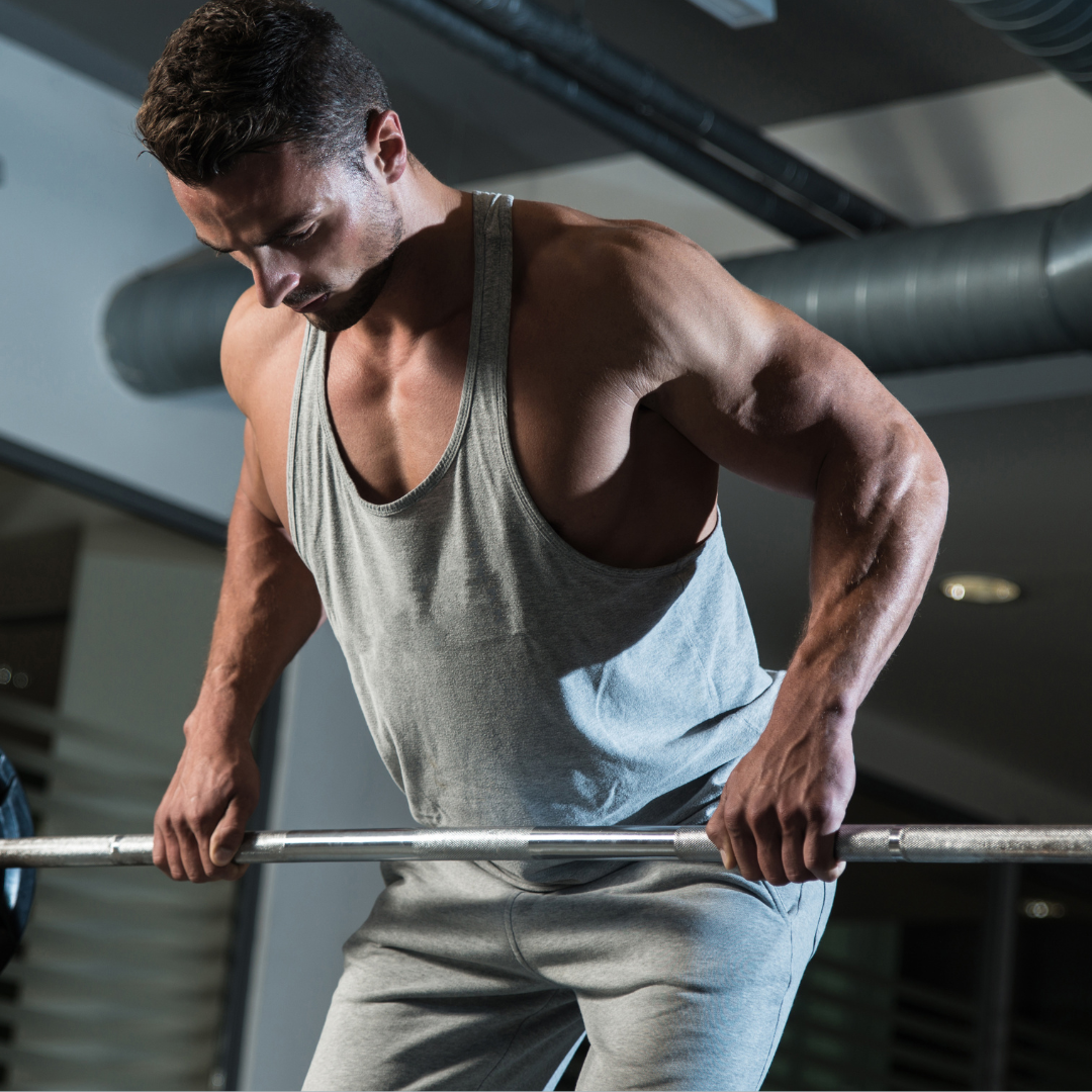 Muscle Gain, Sport Performance and Nutrition