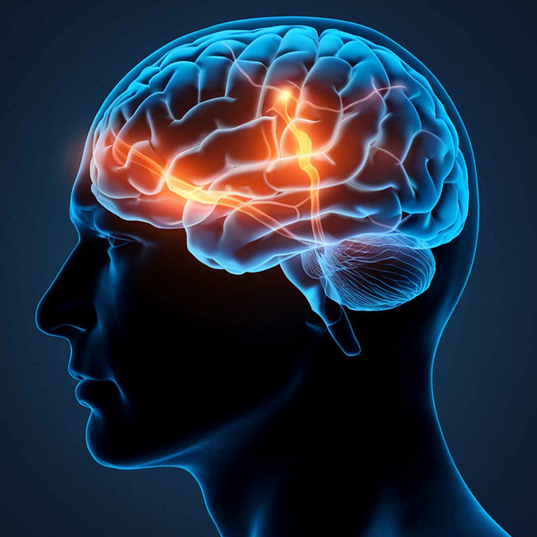 Neurological Health and Cognitive Clarity