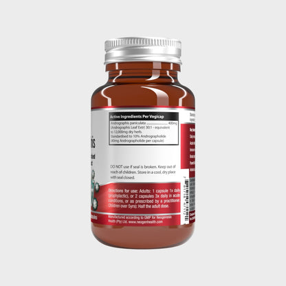 ImmuGraphis High Dose Andrographis 30s | Neogenesis Health