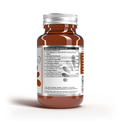 Bronchiolin | Mullein + Ananthamul + African Geranium + Tiger's Milk + More 30s | Neogenesis Health
