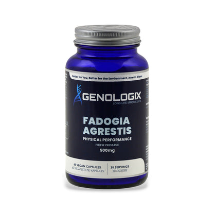 Fadogia Agrestis 60s | Genologix