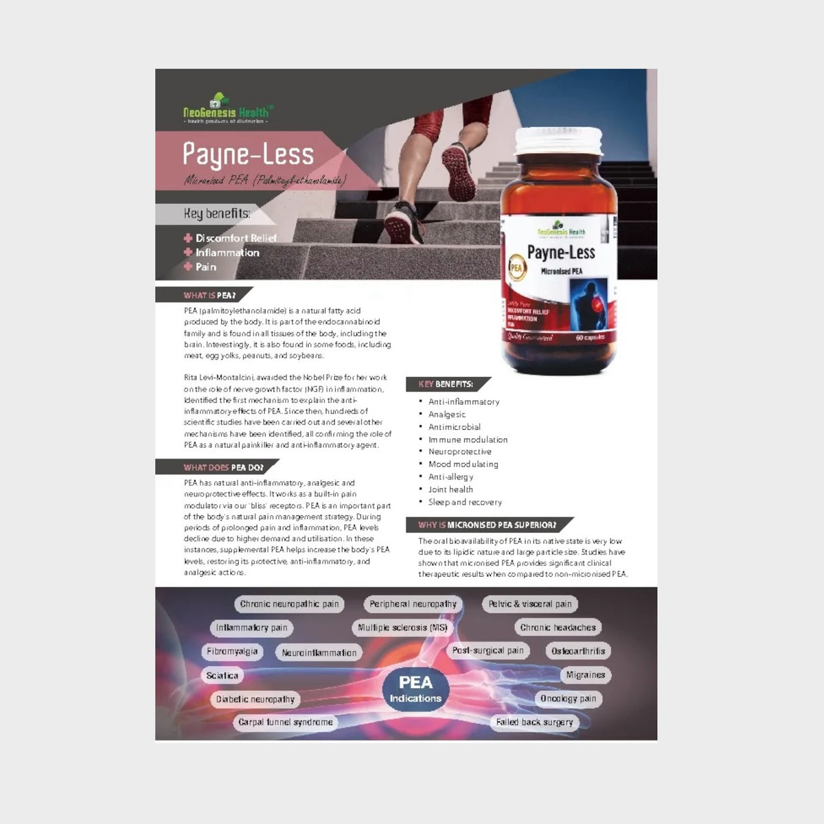 Payne-less - Patented micronised PEA (Palmitoylethanolamide) 60s | Neogenesis Health