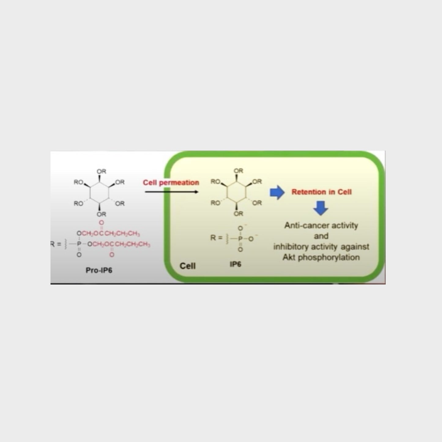 IP-6 (optimal blend of IP-6 + Inositol) | Neogenesis Health