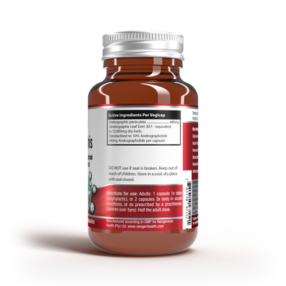ImmuGraphis High Dose Andrographis 30s | Neogenesis Health
