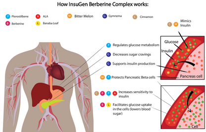 INSUGEN | 600mg Berberine + 200mg Gymnema, Pterostilbene, Banaba Leaf 60s | Neogenesis Health