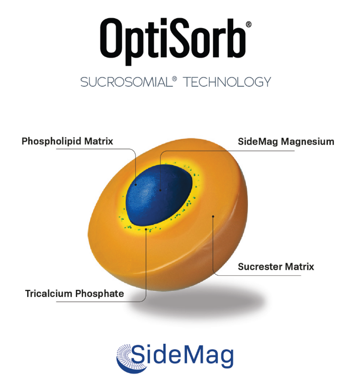 OptiSorb Sucrosomial Magnesium - Patented High dose with Boron 60s | Neogenesis Health