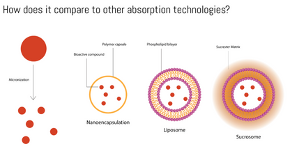 Optisorb OptiSorb Zinc Patented Sucrosomial Zinc+Copper+Selenium Gut-Friendly 6 ...