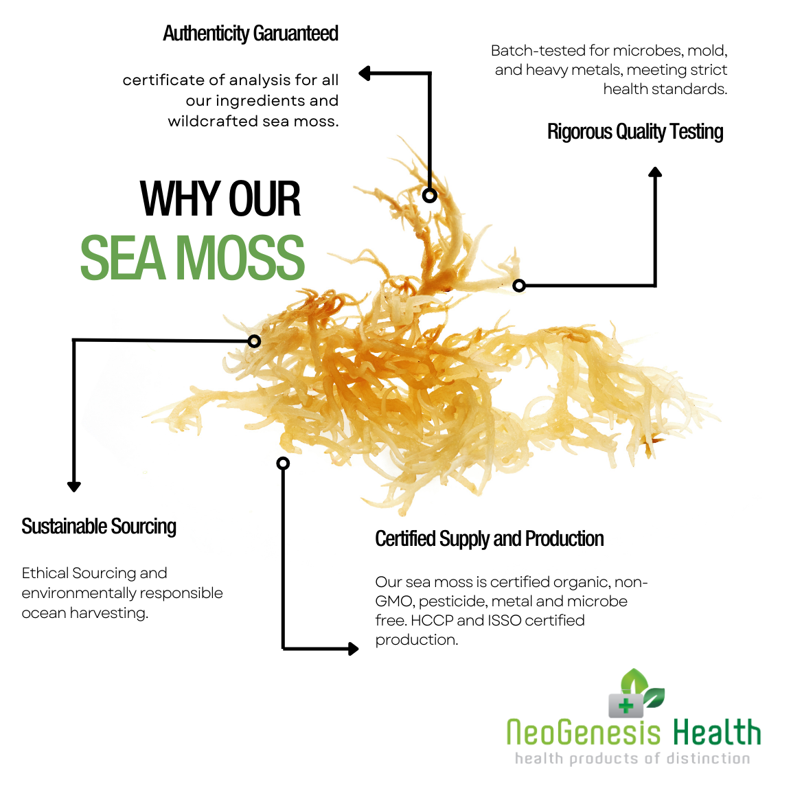 Sea Moss Gel Unicorn 375ml | Neogenesis Health