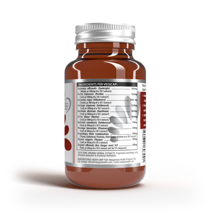 Sinugen | Advanced Sinus & Immune Relief Support 30s | Neogenesis Health