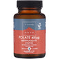 Folate Complex 50s | Terranova